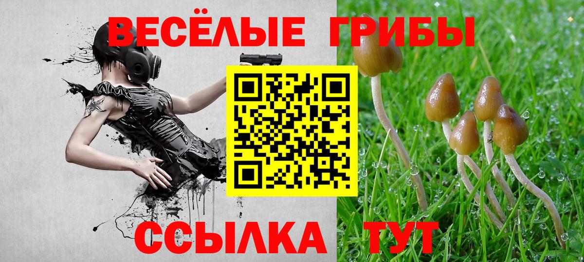 дарнет шоп  Вход с VPN  Рыбинск  Псилоцибиновые грибы Magic Shrooms 